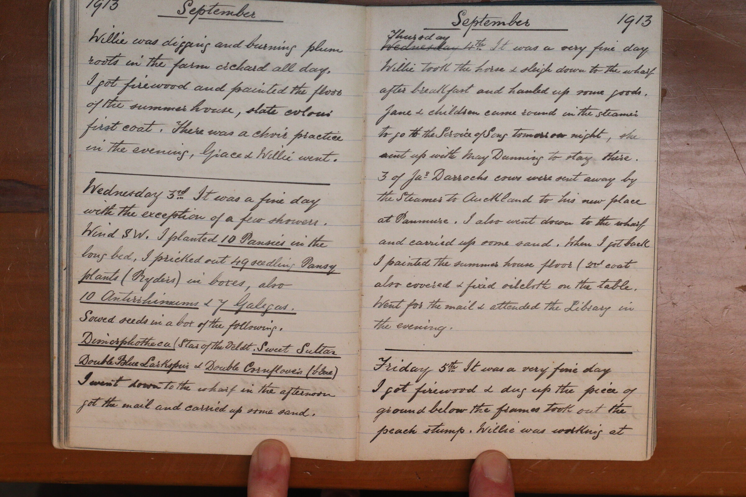 Original CS Clarke diary page