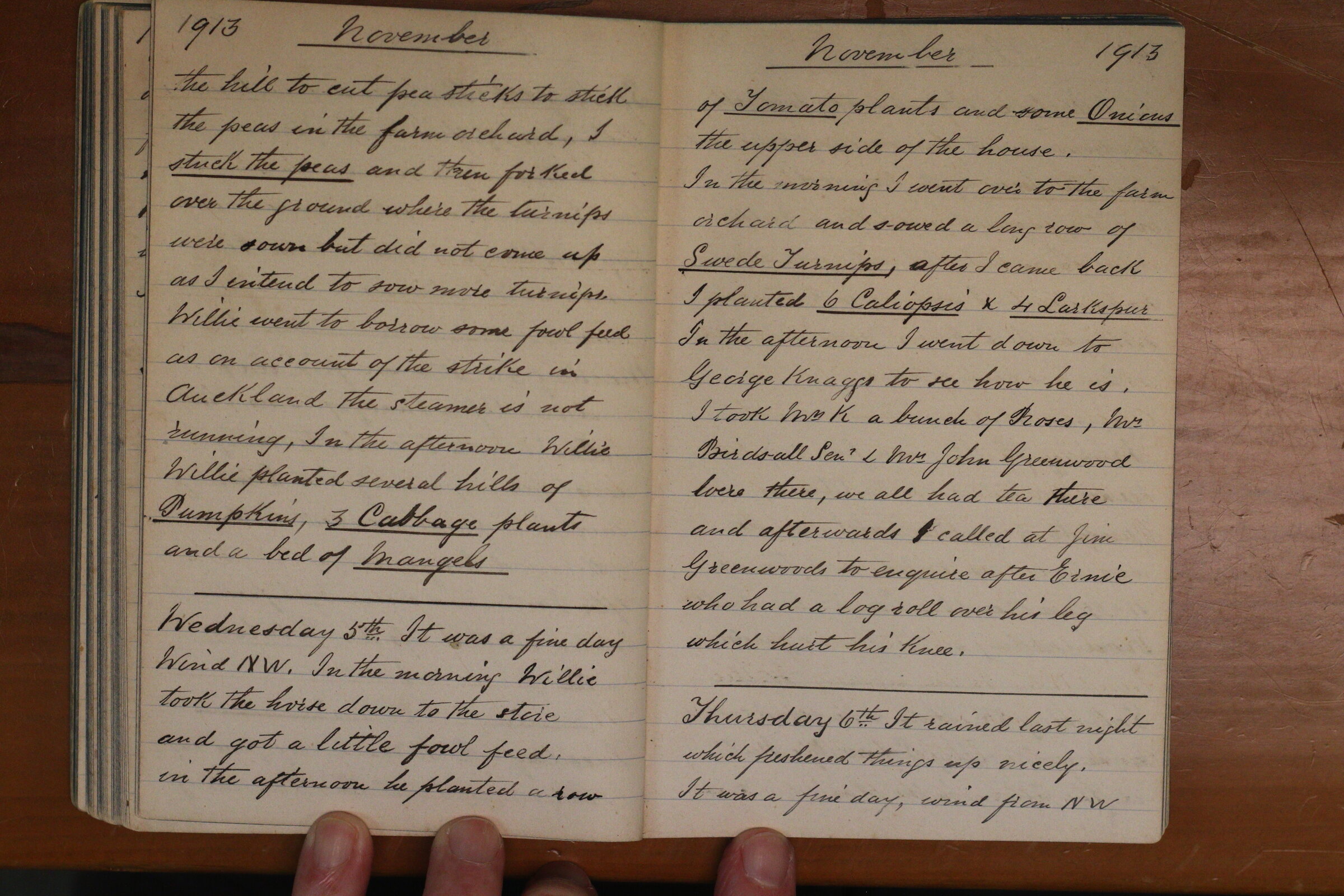 Original CS Clarke diary page