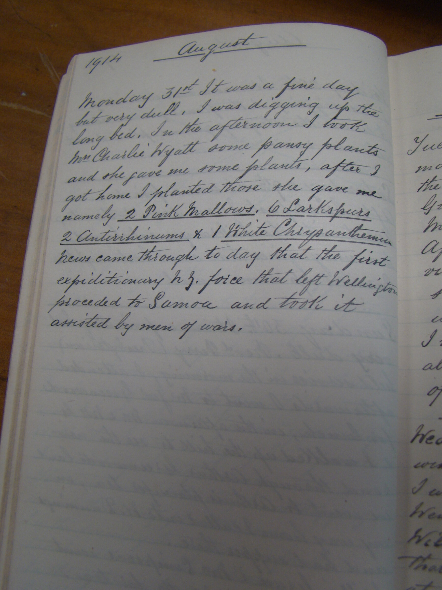 Original CS Clarke diary page