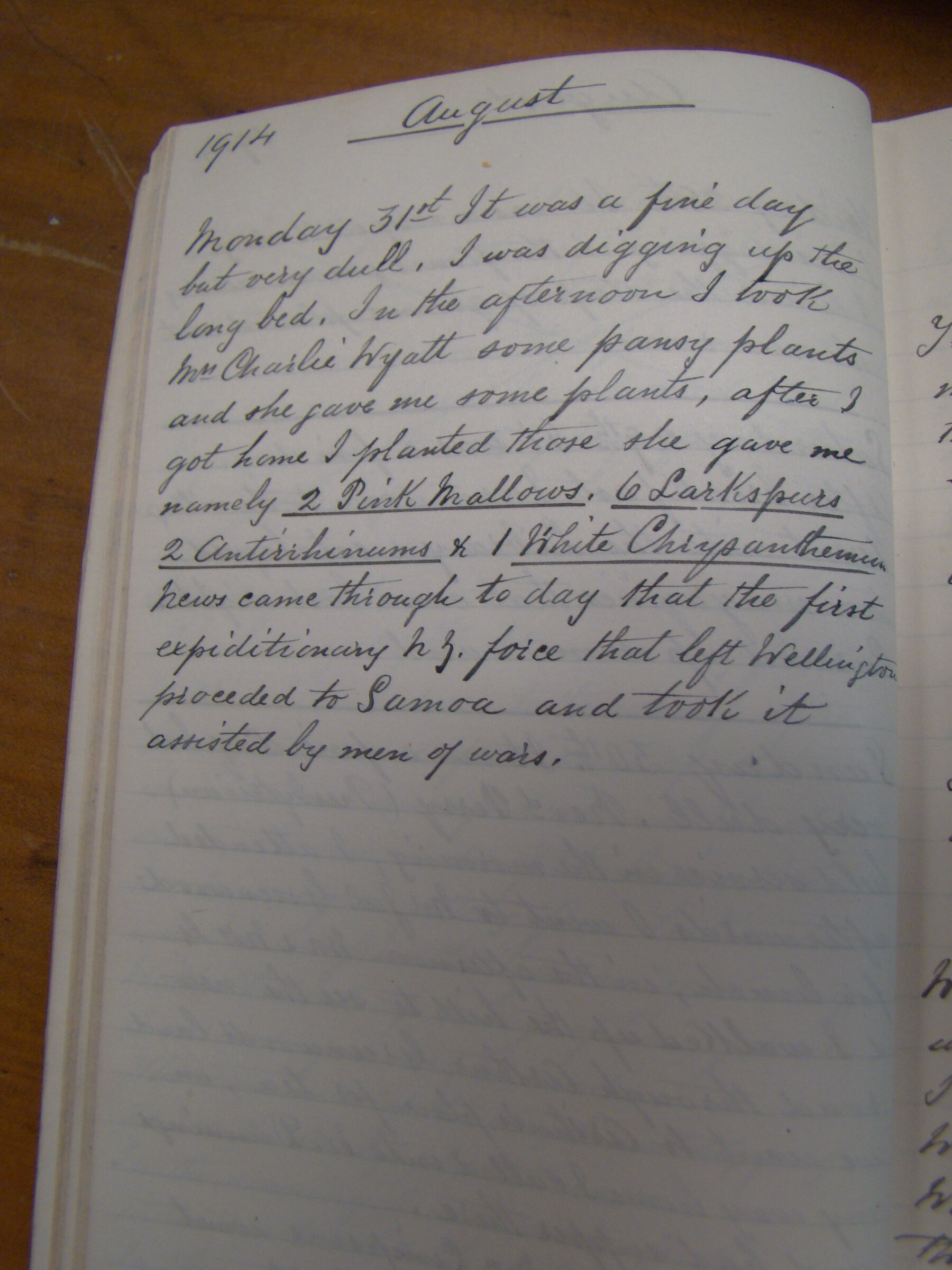 Original CS Clarke diary page
