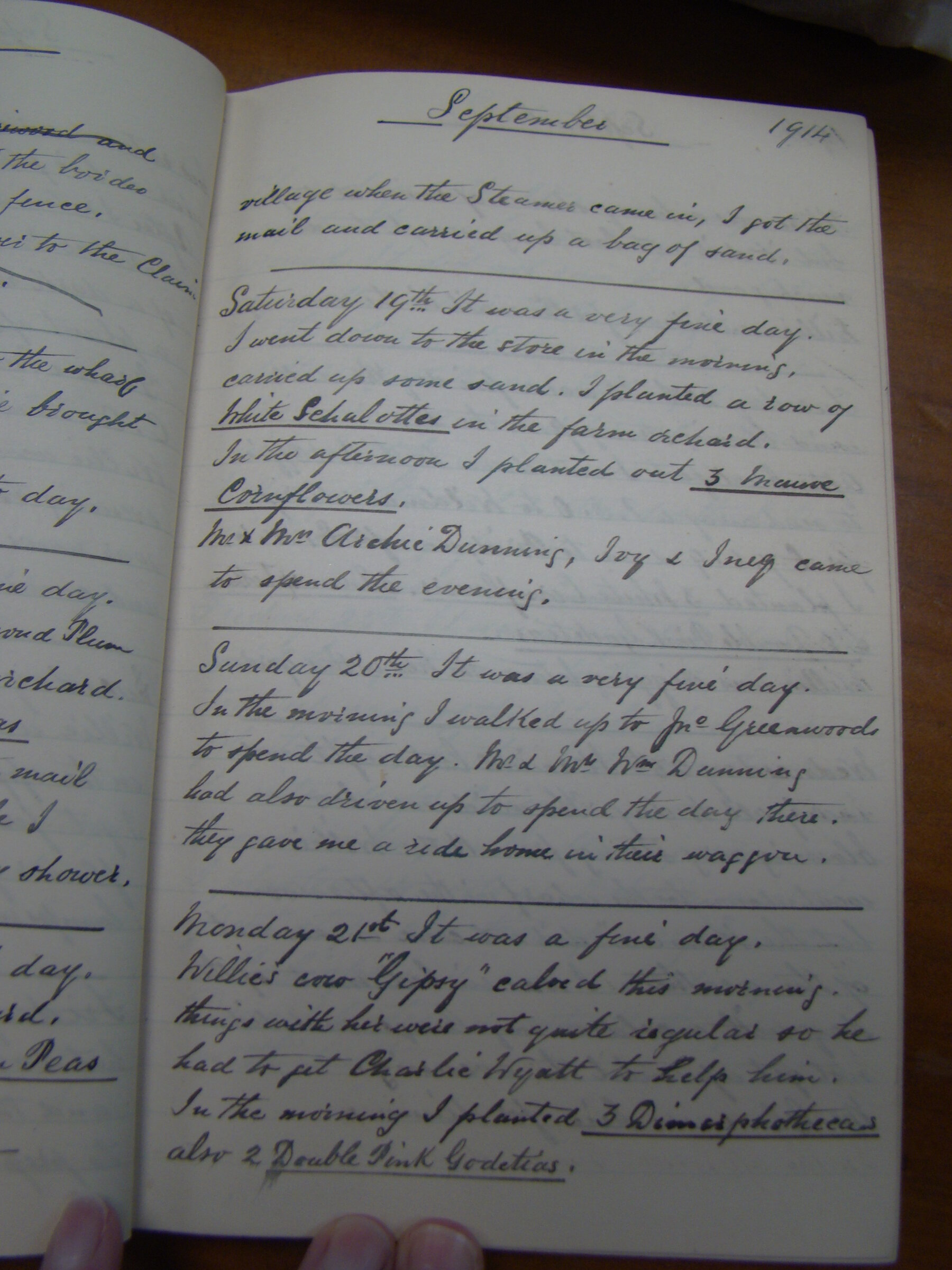 Original CS Clarke diary page