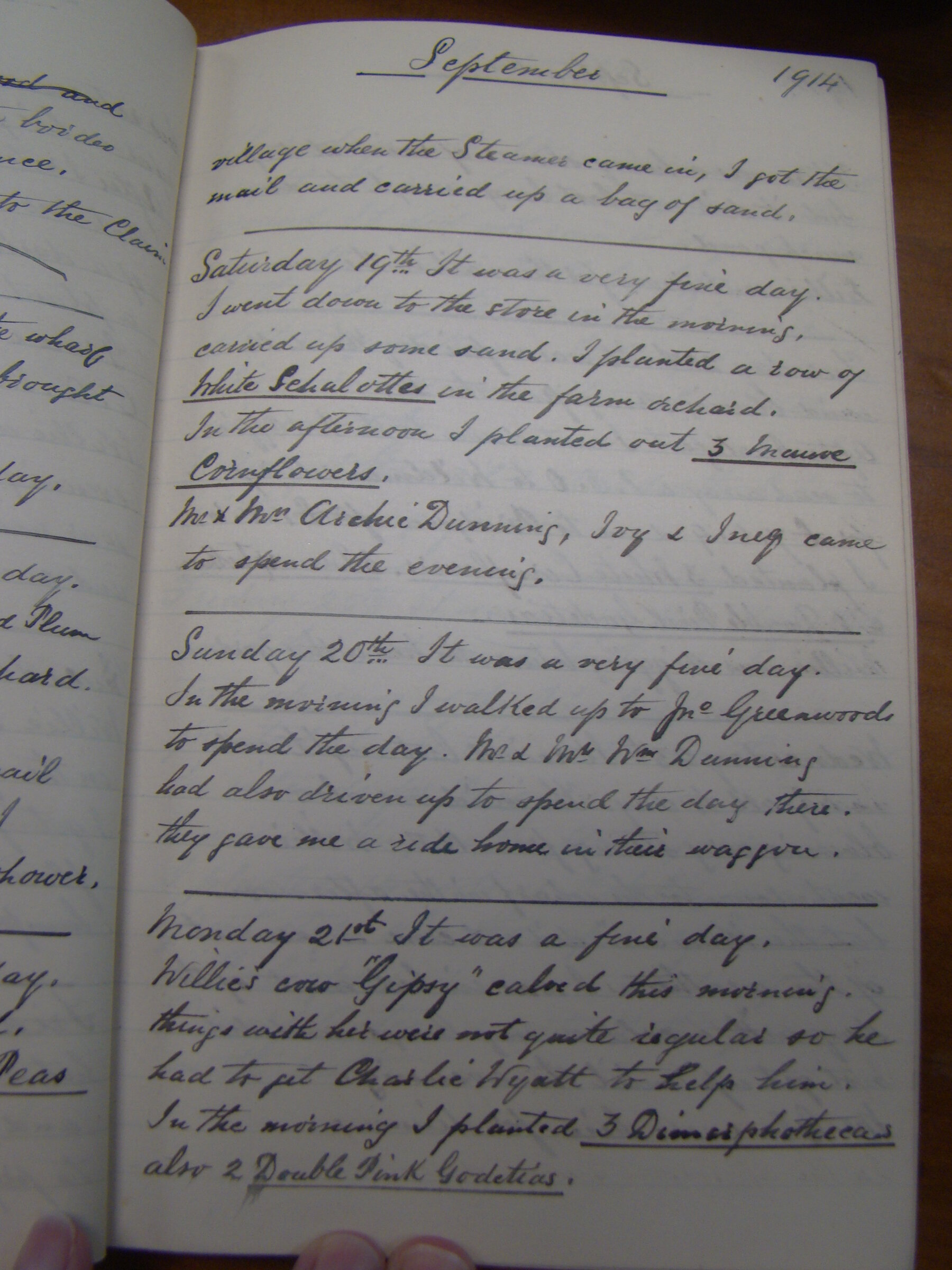 Original CS Clarke diary page