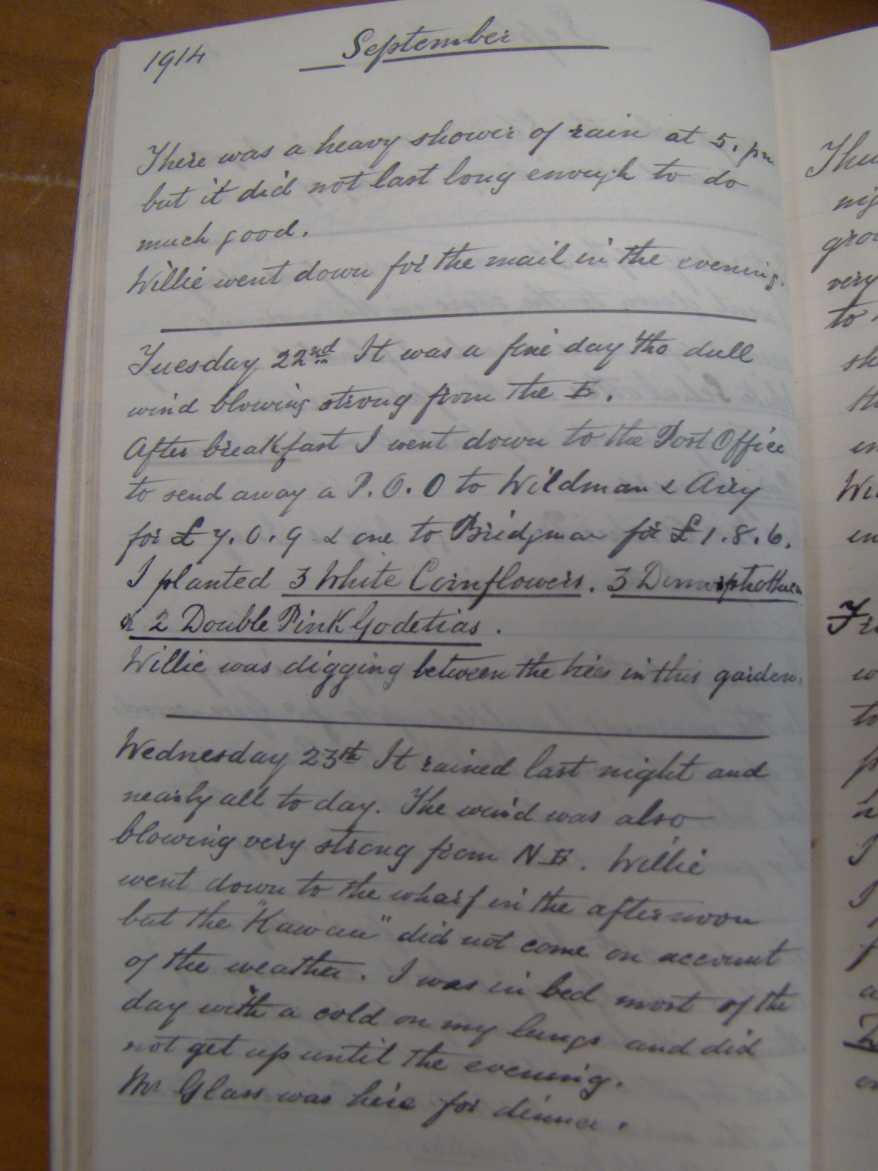 Original CS Clarke diary page