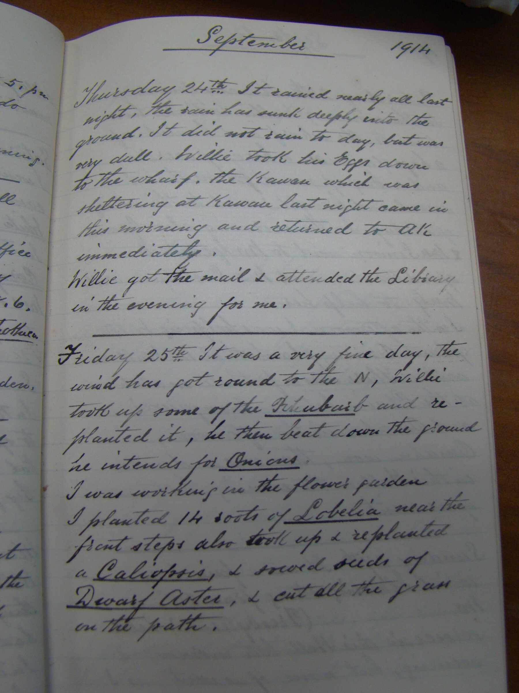 Original CS Clarke diary page