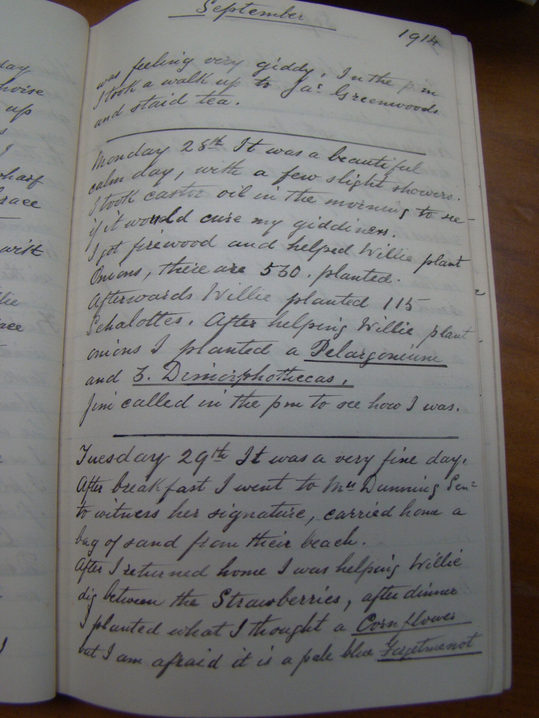 Original CS Clarke diary page