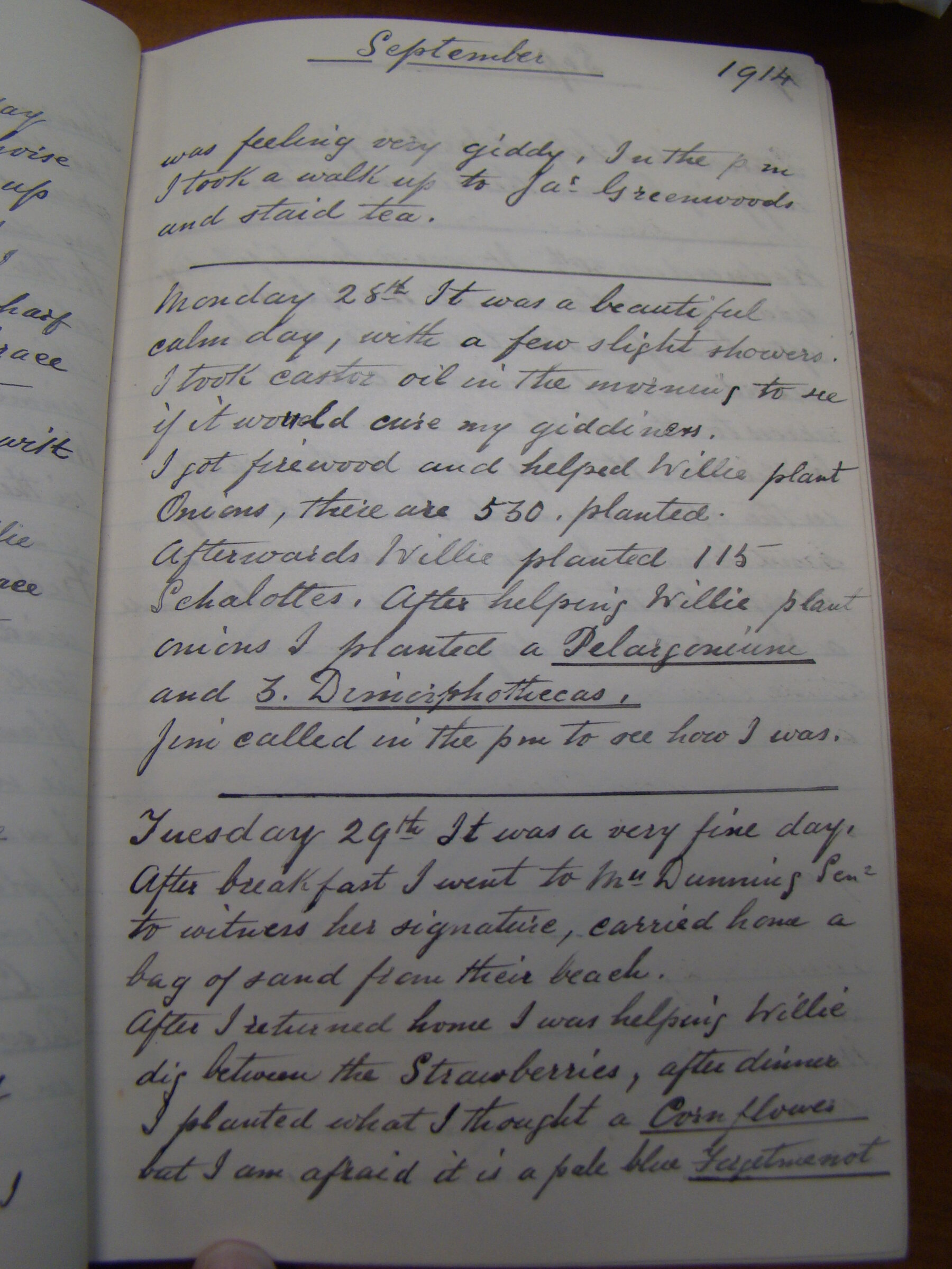 Original CS Clarke diary page