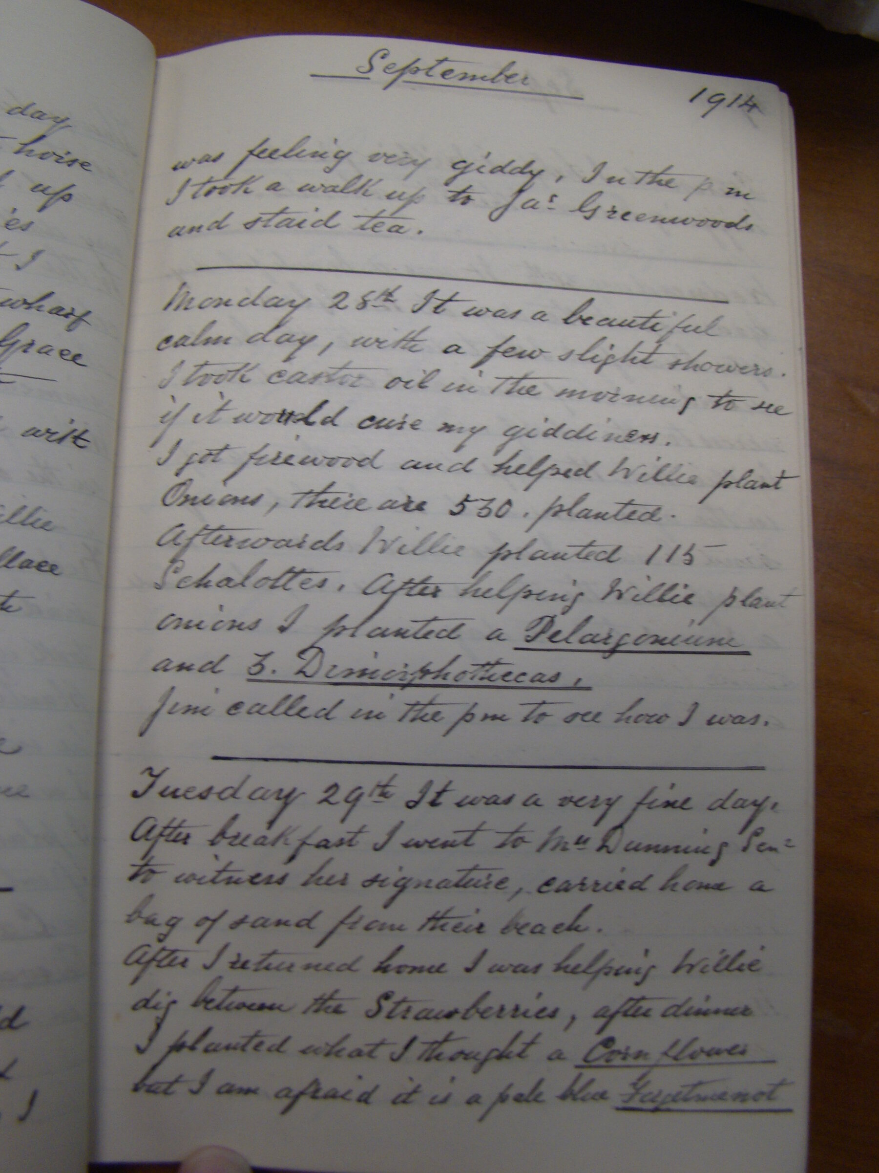 Original CS Clarke diary page