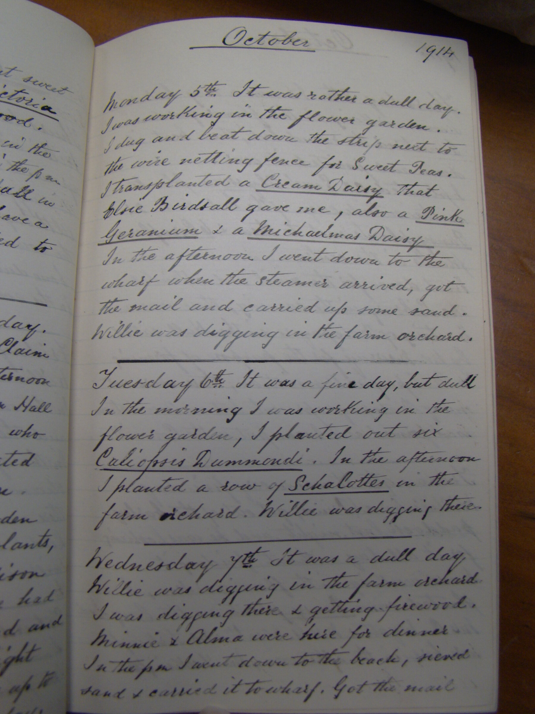 Original CS Clarke diary page