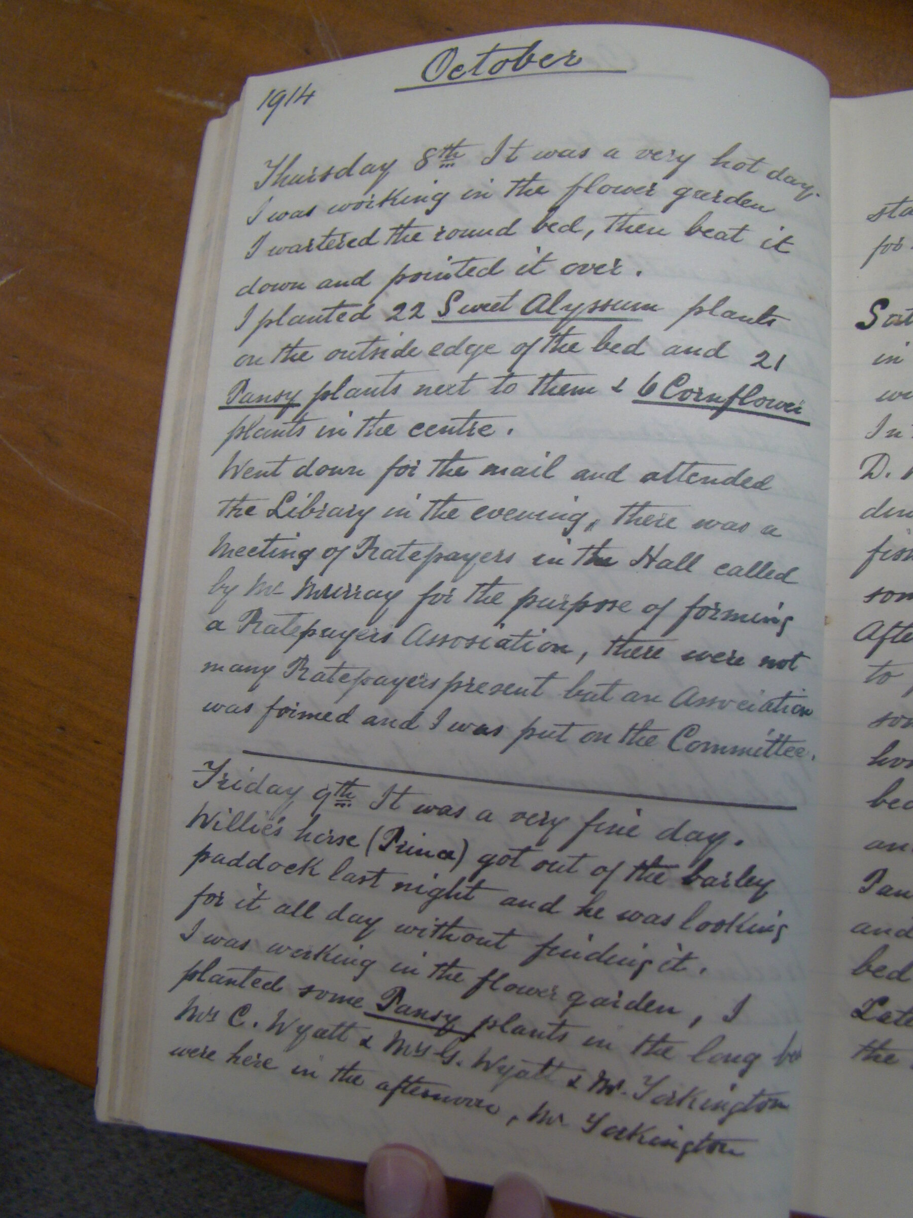 Original CS Clarke diary page