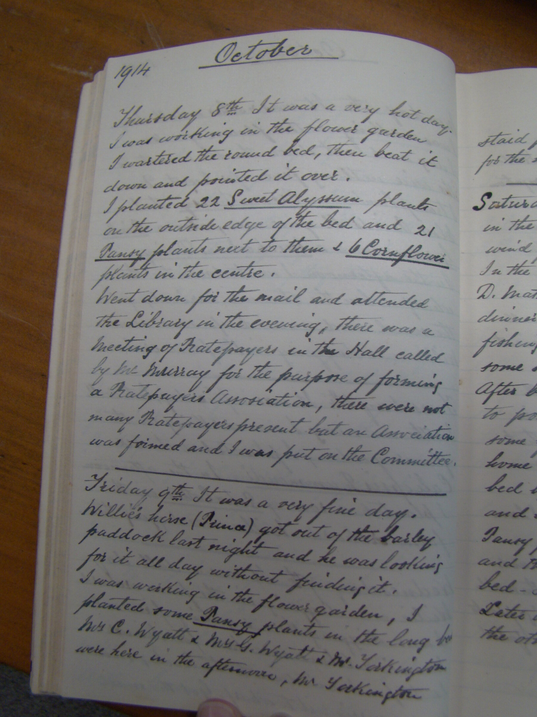 Original CS Clarke diary page