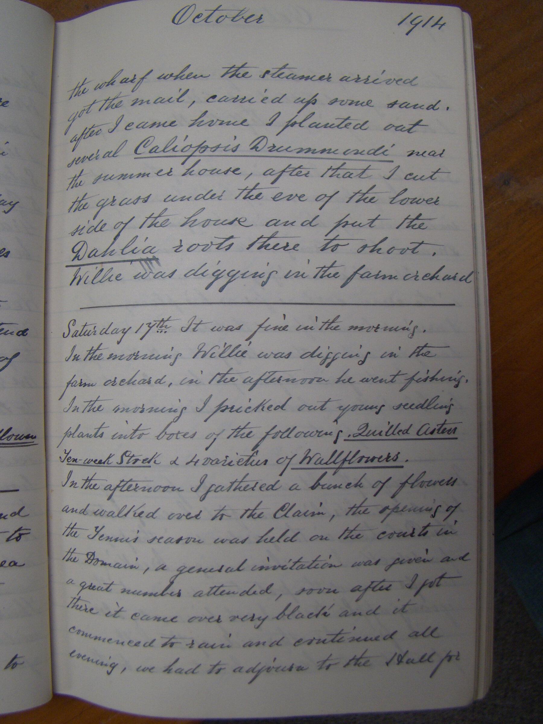Original CS Clarke diary page