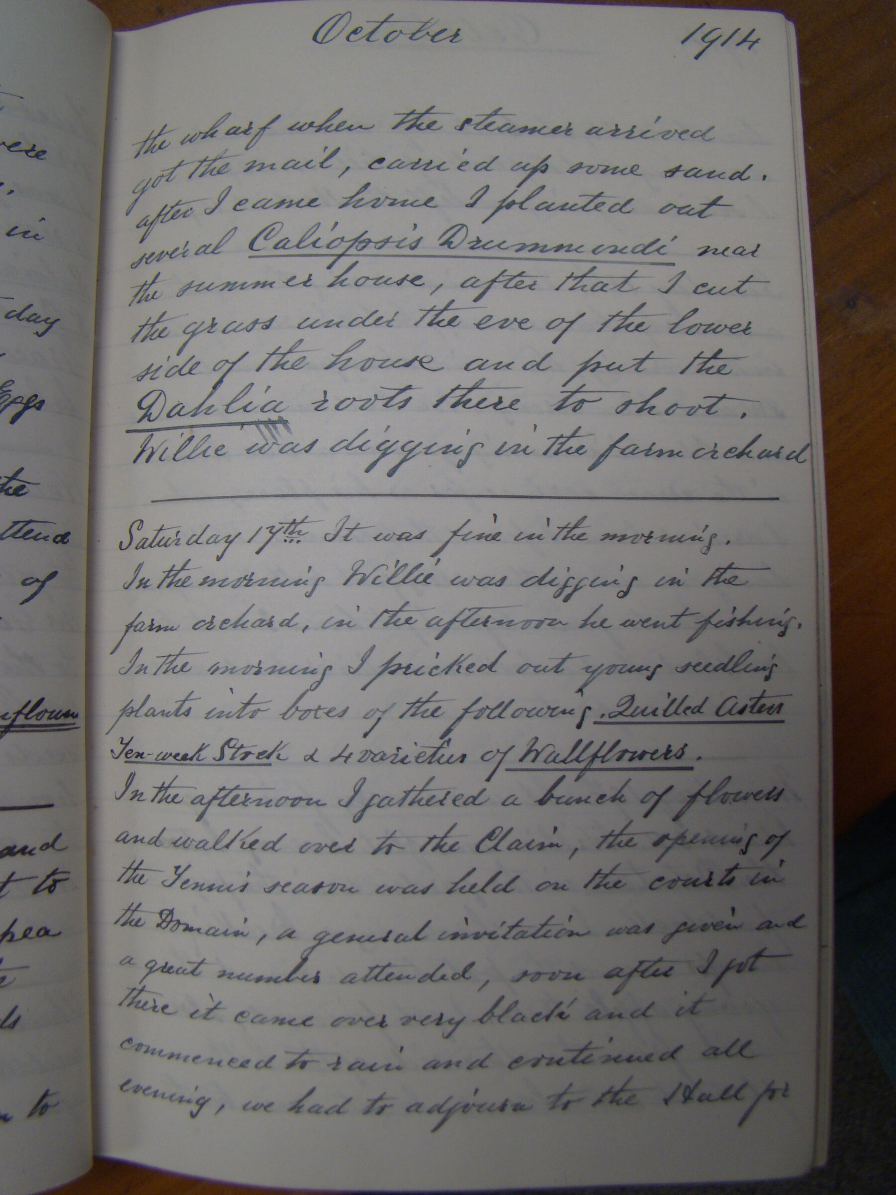 Original CS Clarke diary page