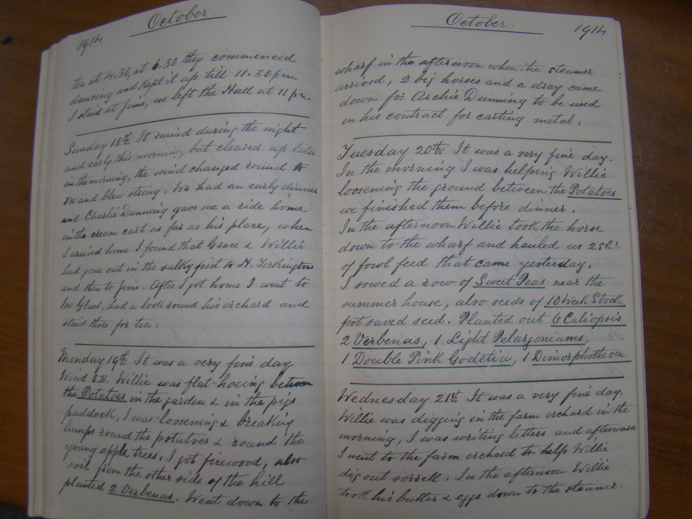 Original CS Clarke diary page