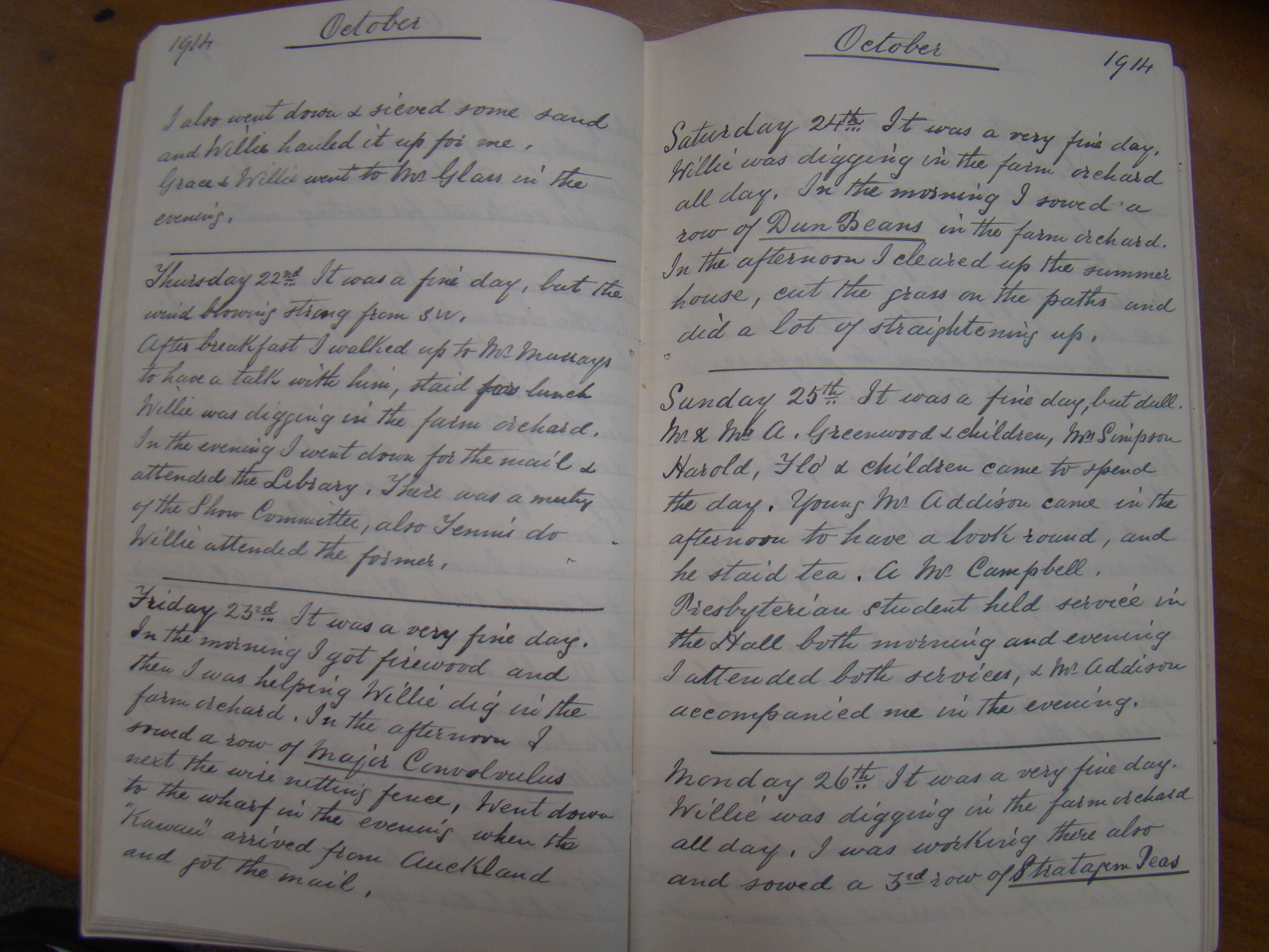 Original CS Clarke diary page