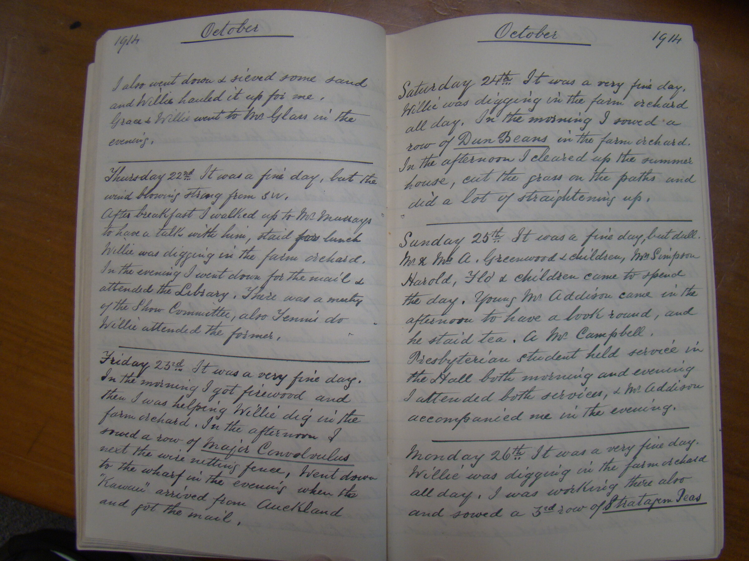 Original CS Clarke diary page