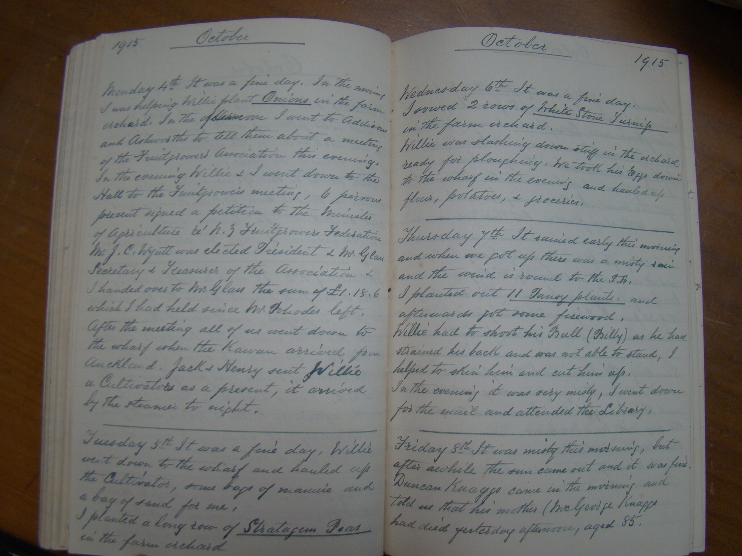 Original CS Clarke diary page
