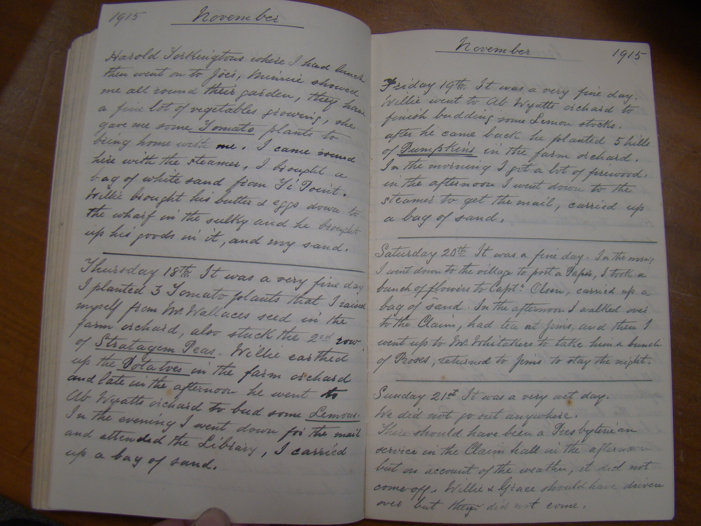 Original CS Clarke diary page
