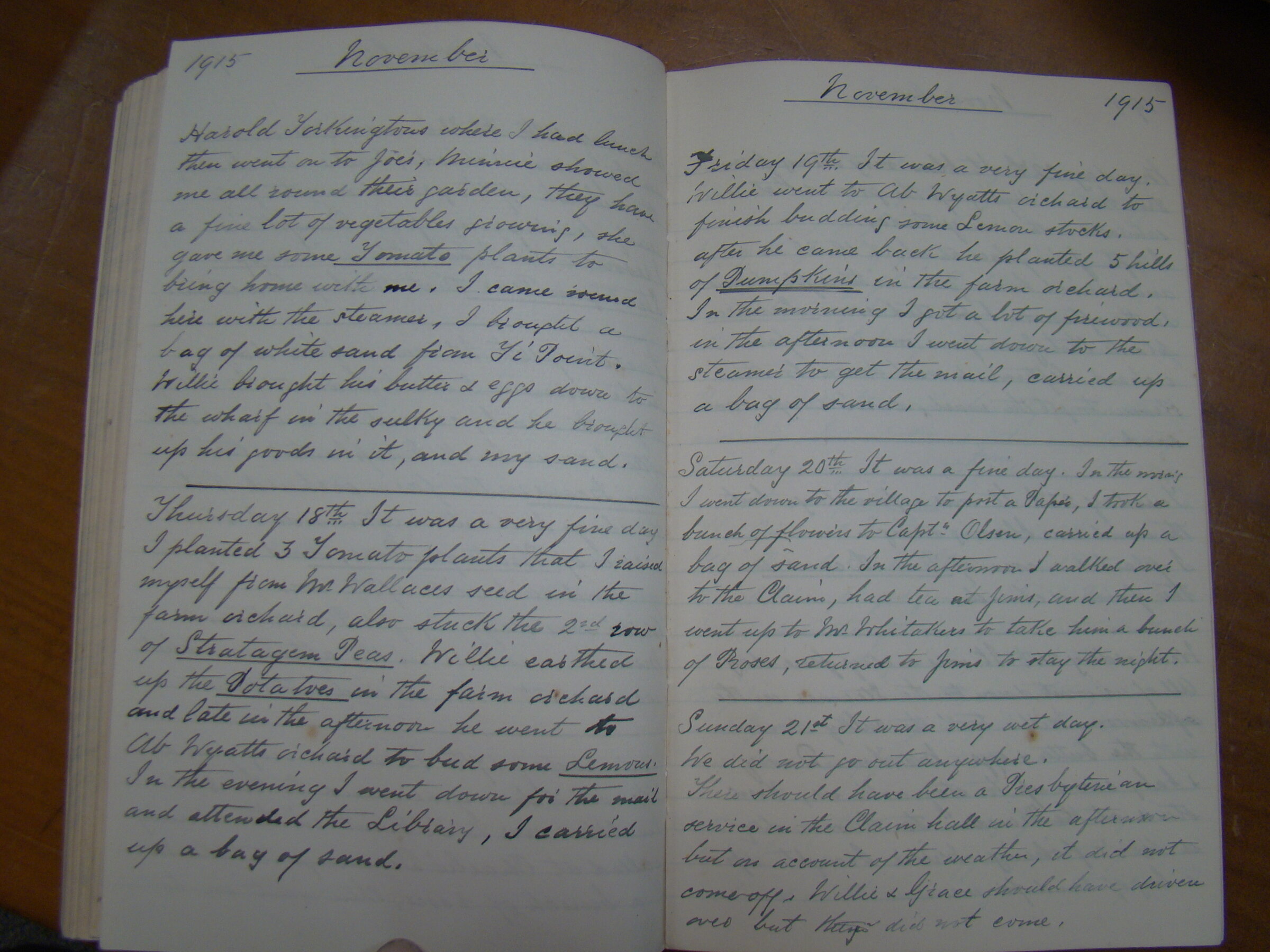 Original CS Clarke diary page