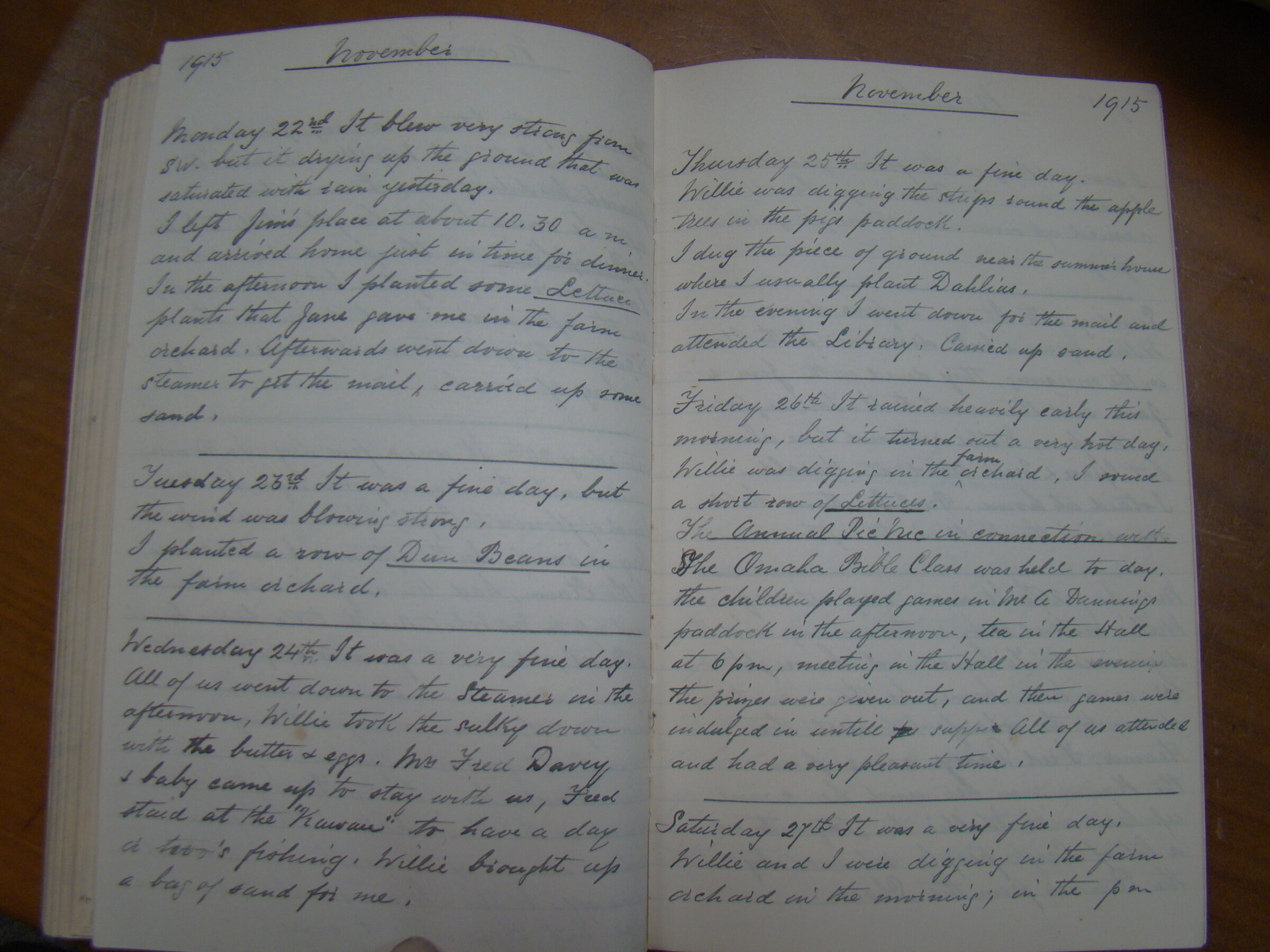 Original CS Clarke diary page