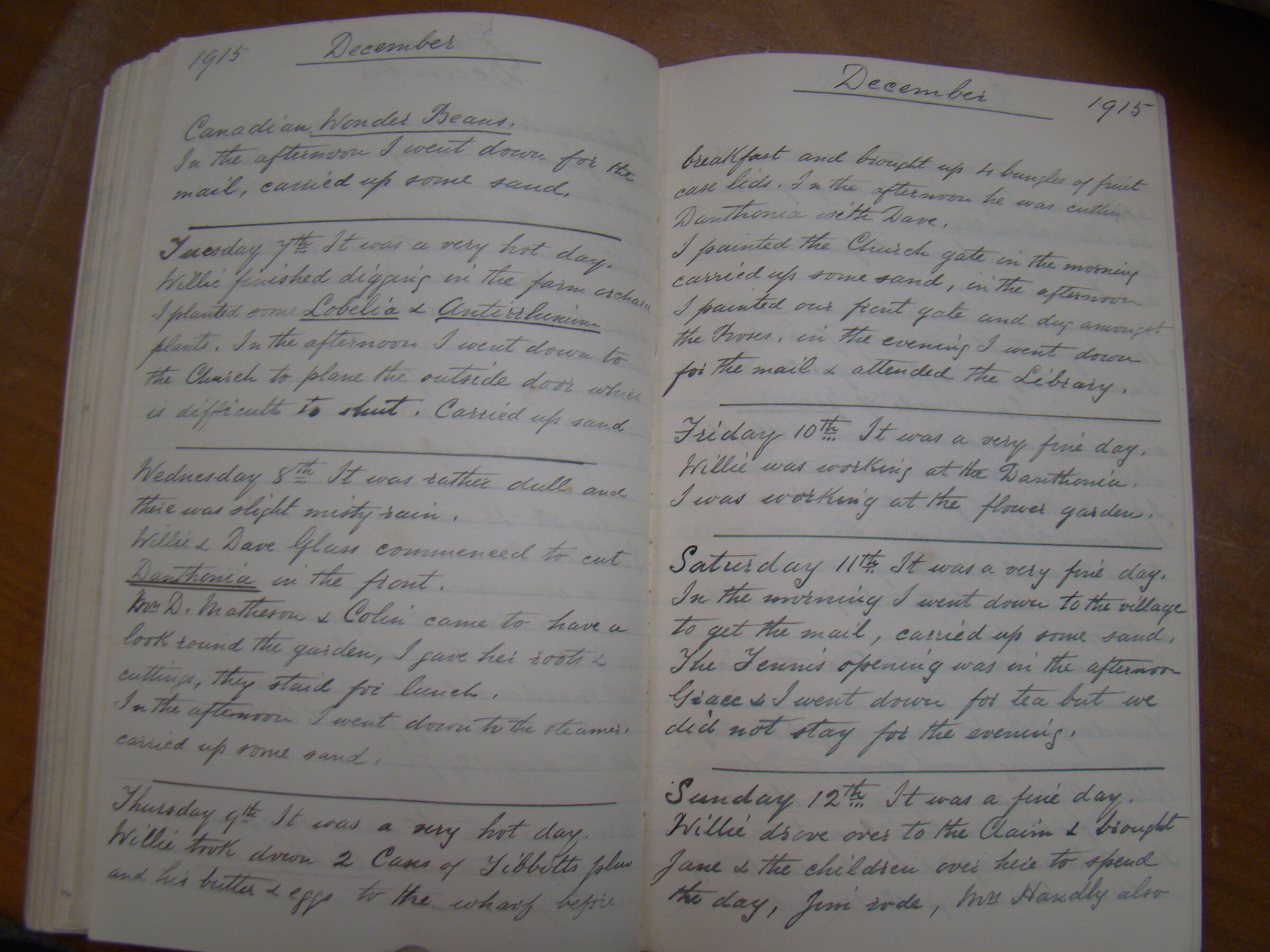 Original CS Clarke diary page