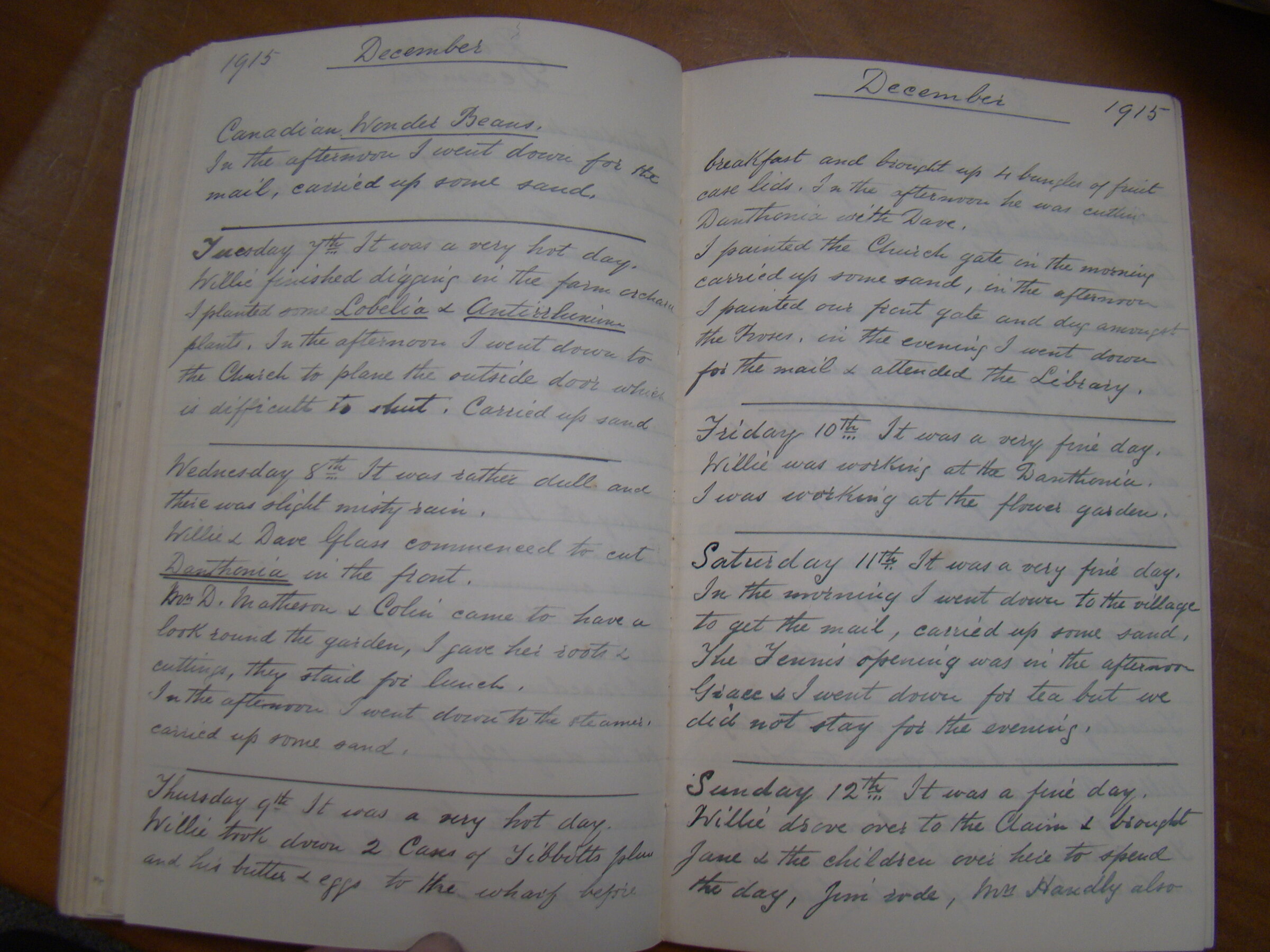Original CS Clarke diary page