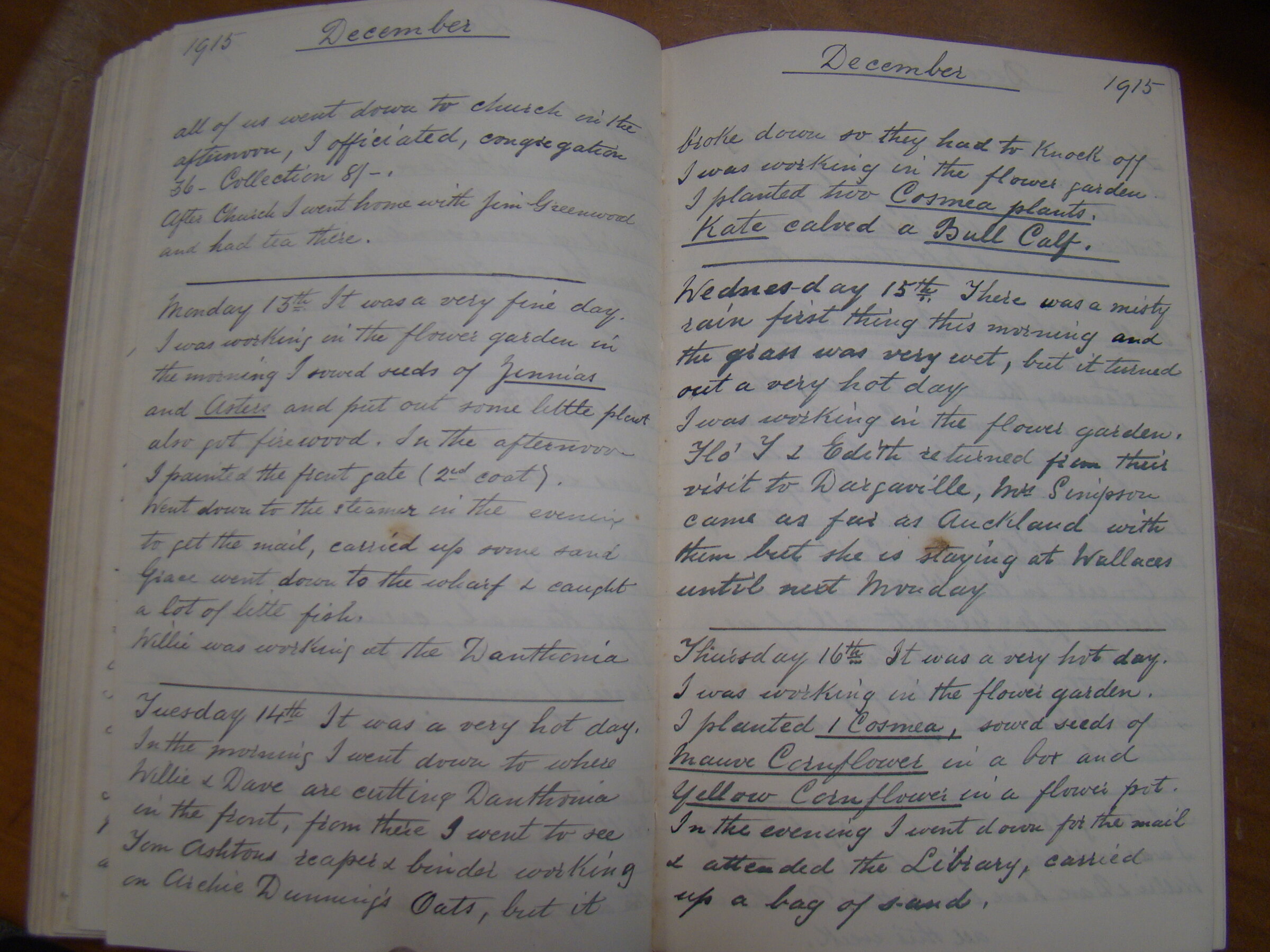 Original CS Clarke diary page