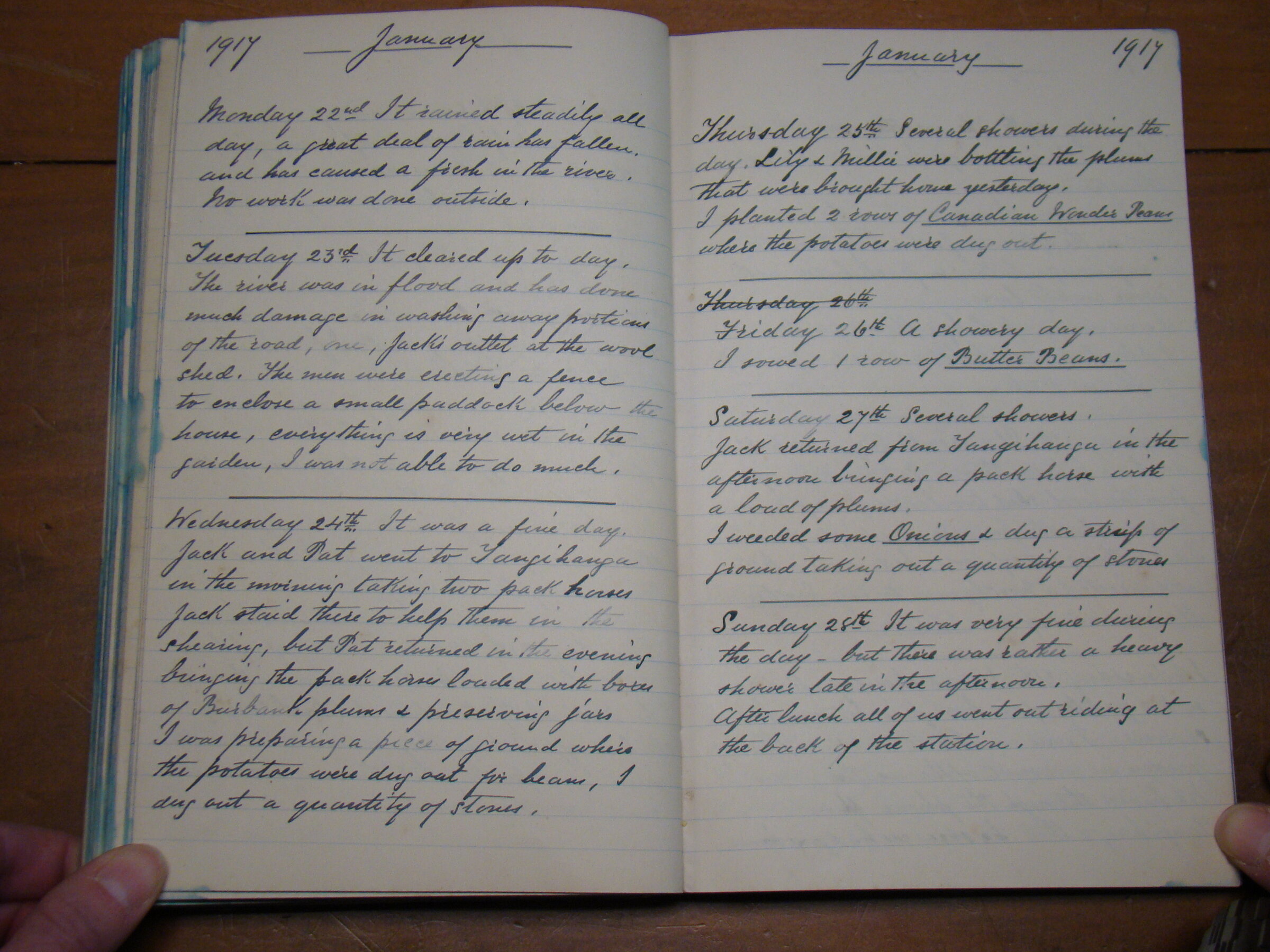 Original CS Clarke diary page