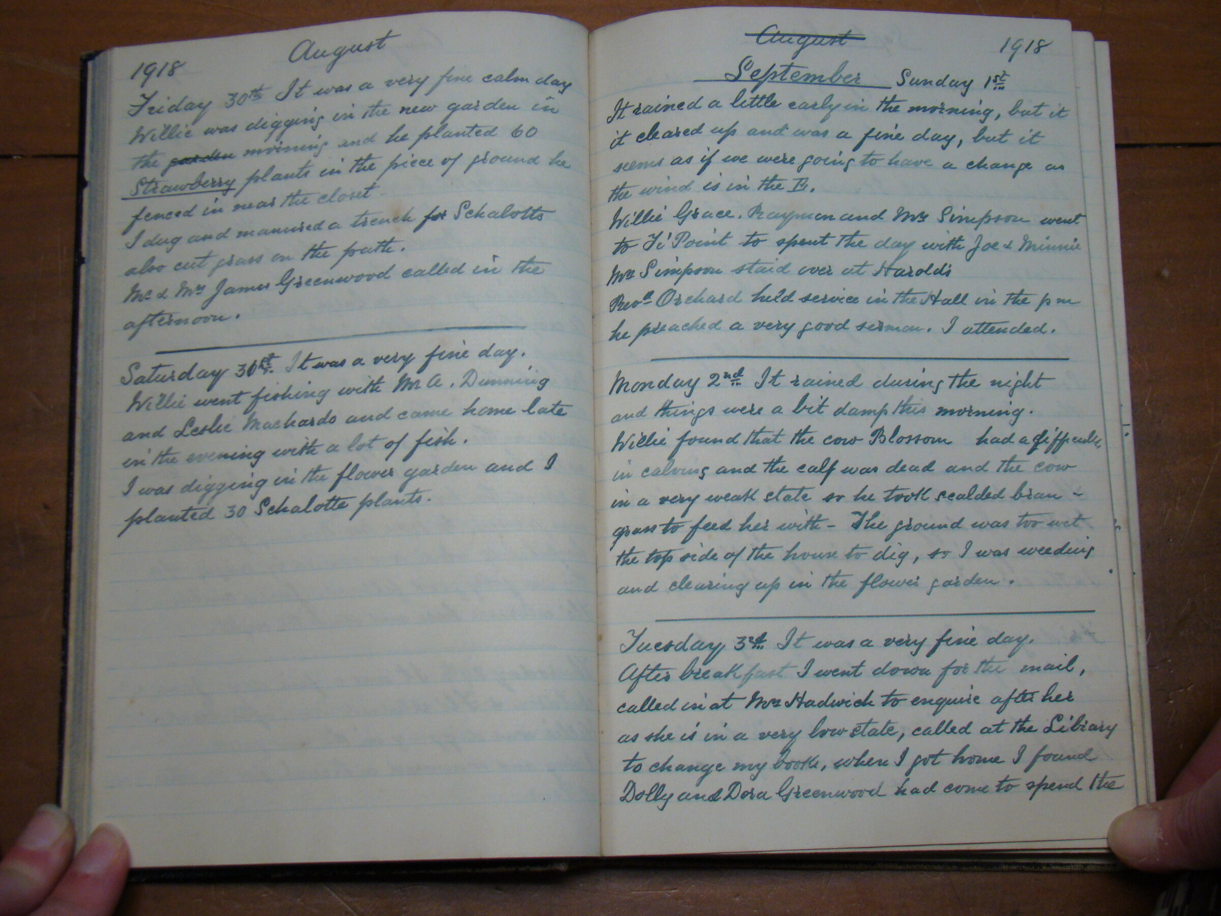Original CS Clarke diary page
