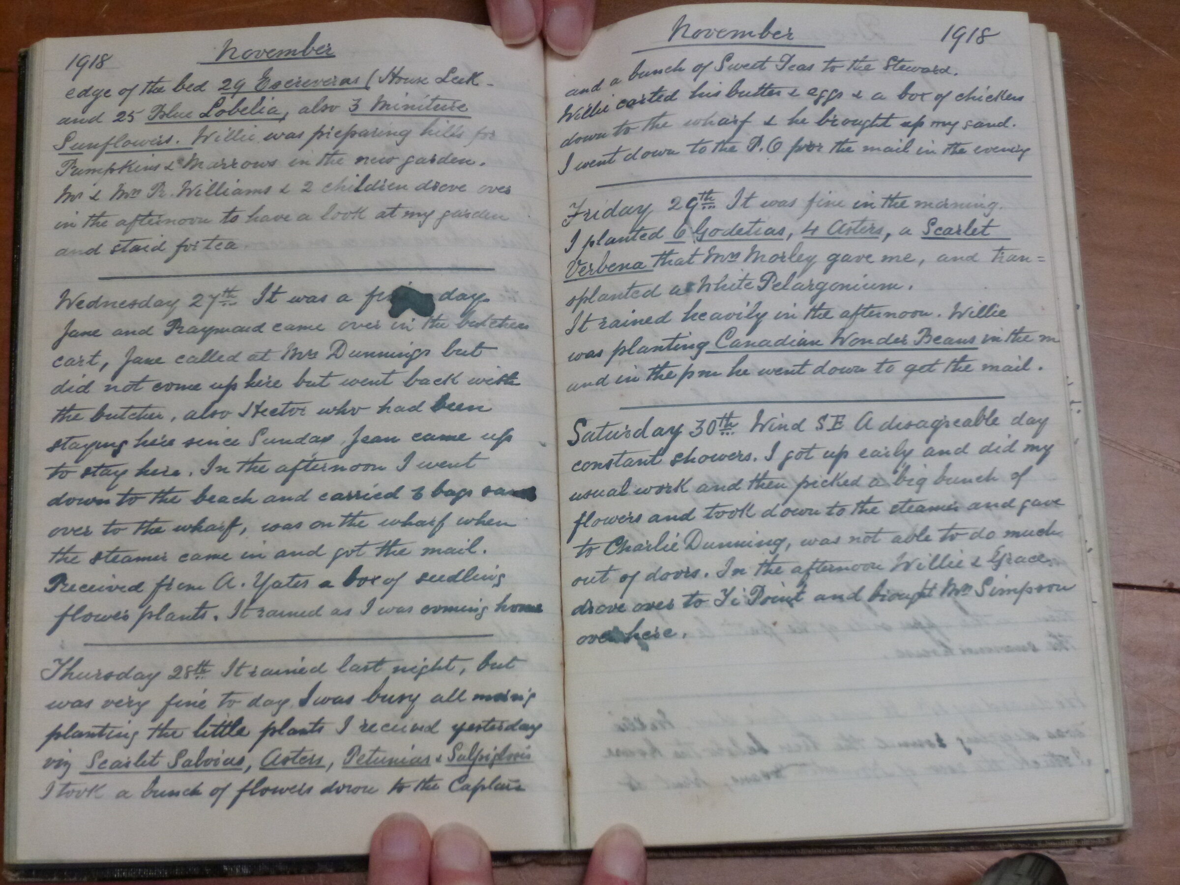Original CS Clarke diary page