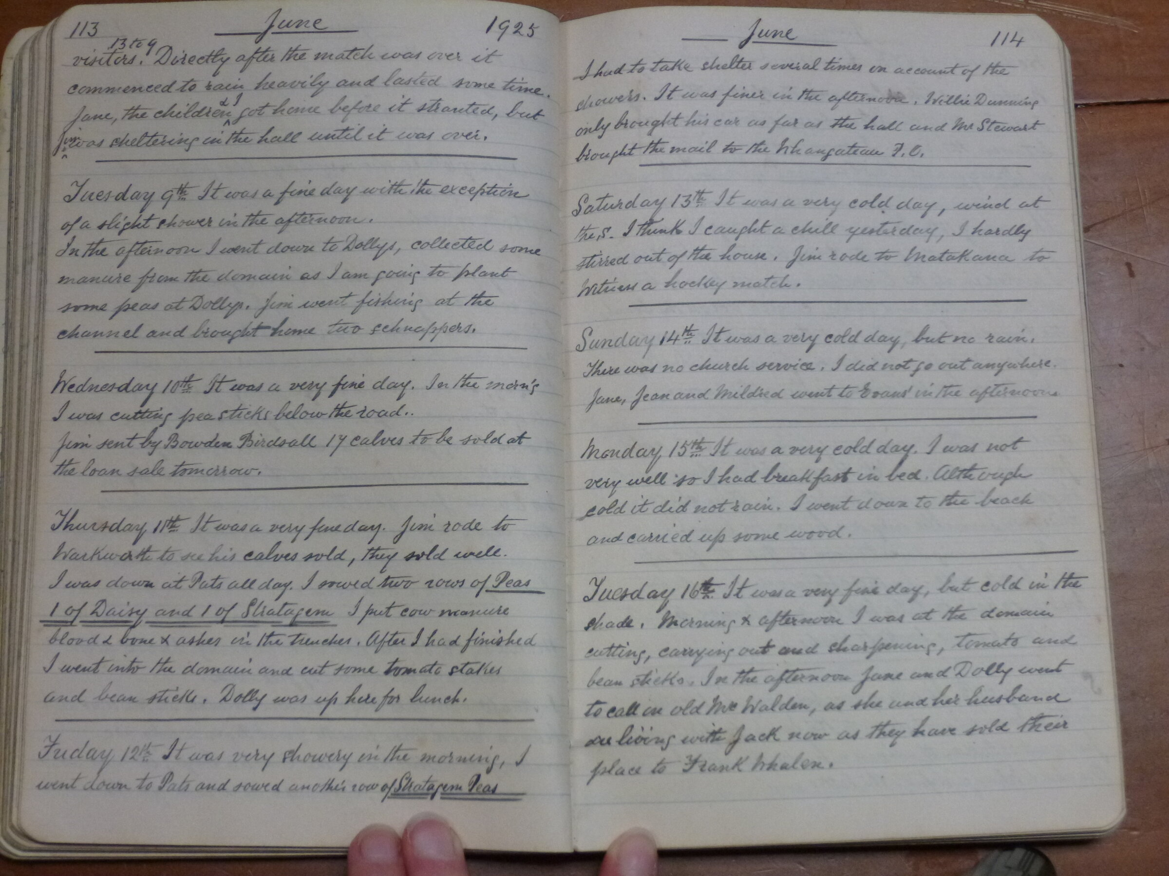 Original CS Clarke diary page