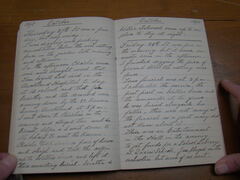 Diary image 1409