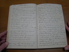 Diary image 1878