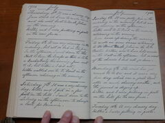 Diary image 2090