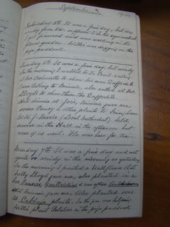 Diary image 2915