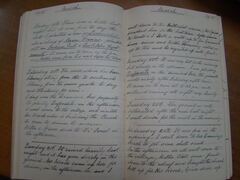 Diary image 3027